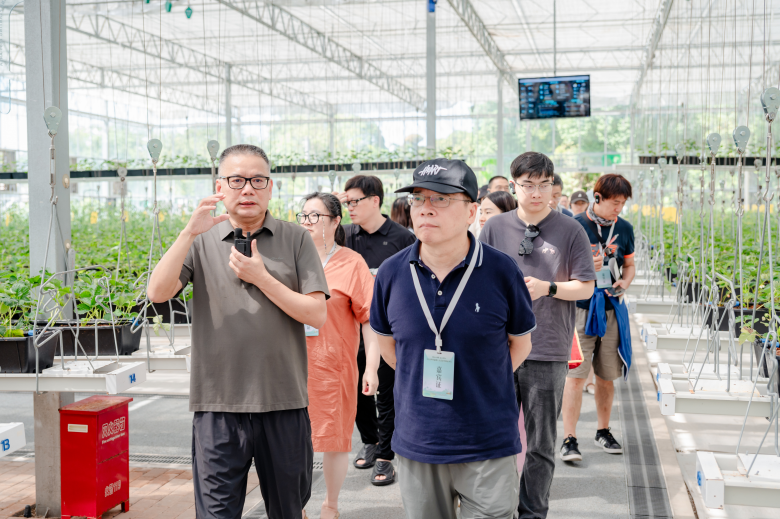 太美了！2025世界溫州人文藝家赴楠溪江創作采風紀實